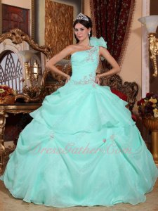 One Shoulder Apple Green Thick Organza Puffy Quinceanera Ball Gown and Her Court